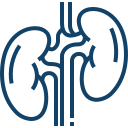 Kidney Transplantation<br> (Adult & Pediatric)