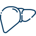 Liver <br>Transplantation
