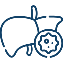Islet Cell <br>Transplantation